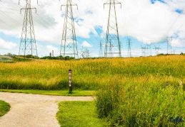 Power towers in the meadow