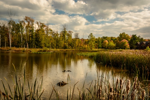 2015_10_08_North Chagrin Reservation_012
