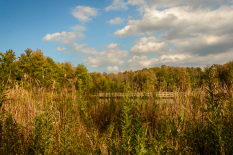 2015_10_08_North Chagrin Reservation_014